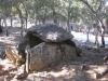 07-rando-maureillas-dolmen-08-01-2012